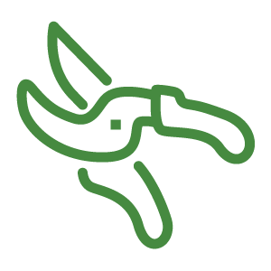 outline of garden secateurs, depicting pruning 